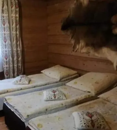 Pod Lasem Gospodarstwo agroturystyczne *