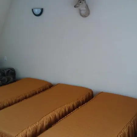 Gospodarstwo agroturystyczne Pod Lasem *