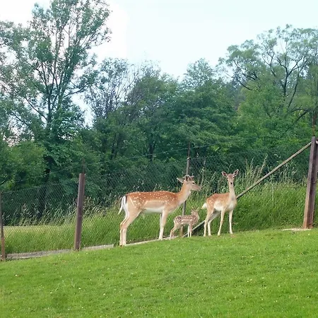 Vakantieboerderij Pod Lasem *