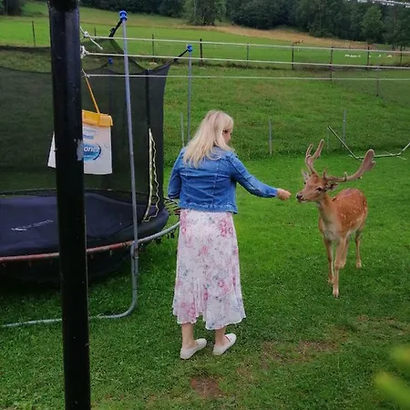 Pod Lasem בית חווה פורונין