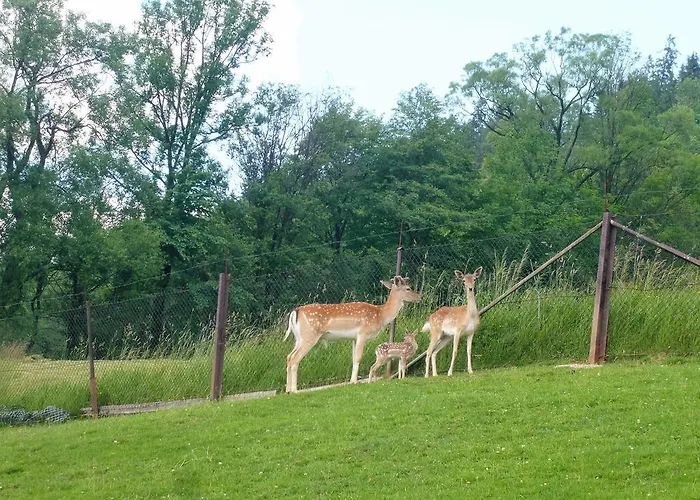 Alloggio per agriturismo Pod Lasem *
