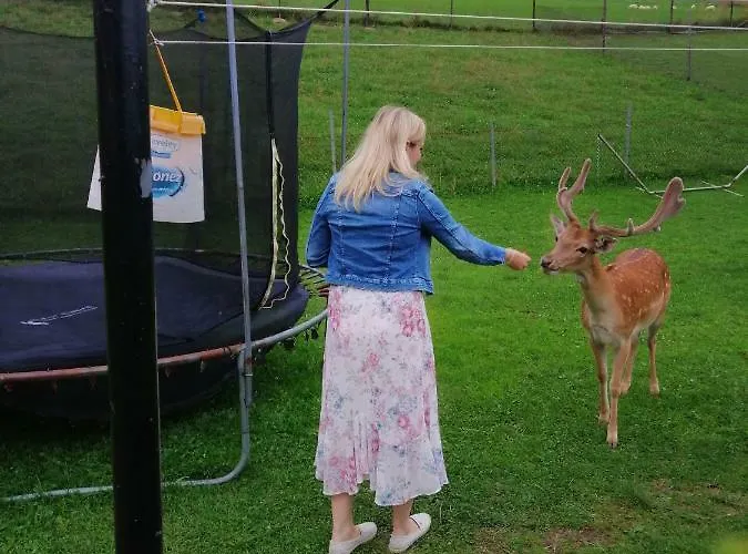 Pod Lasem Alloggio per agriturismo Poronin